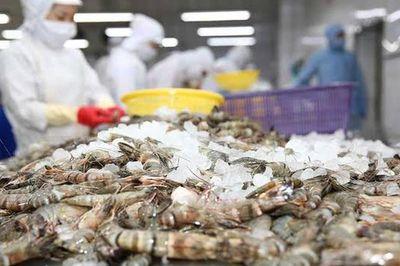 Đầu tư chung cư viha flora hay dự án nội đô năm 2026? https://vflinvest.vn 2 Quy hoạch đồng bộ không gian xanh tại đô thị