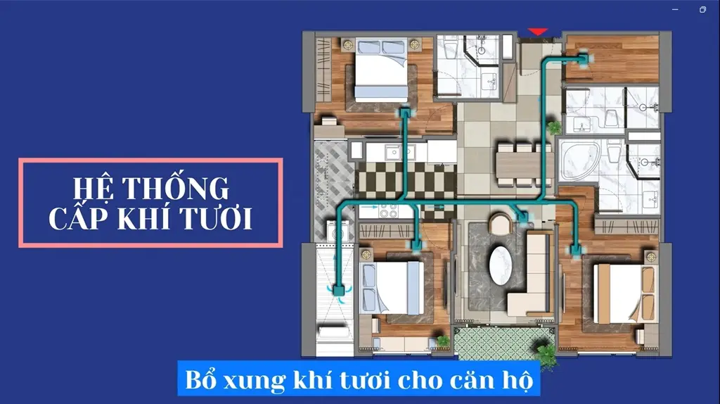 Viha Complex - Viha Leciva https://vflinvest.vn 19